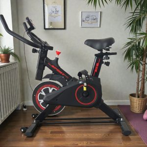 Xe Đạp Thể Dục Q5